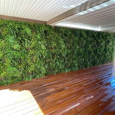 No Maintenance Green Wall Solution